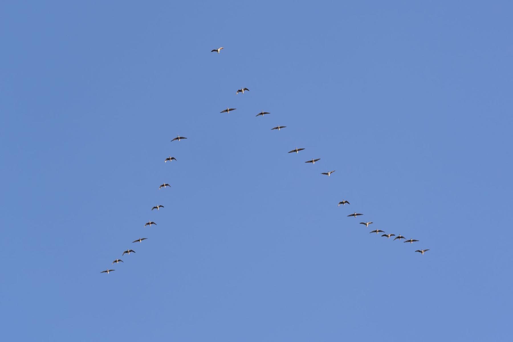 Estonia has the cleanest air in continental Europe