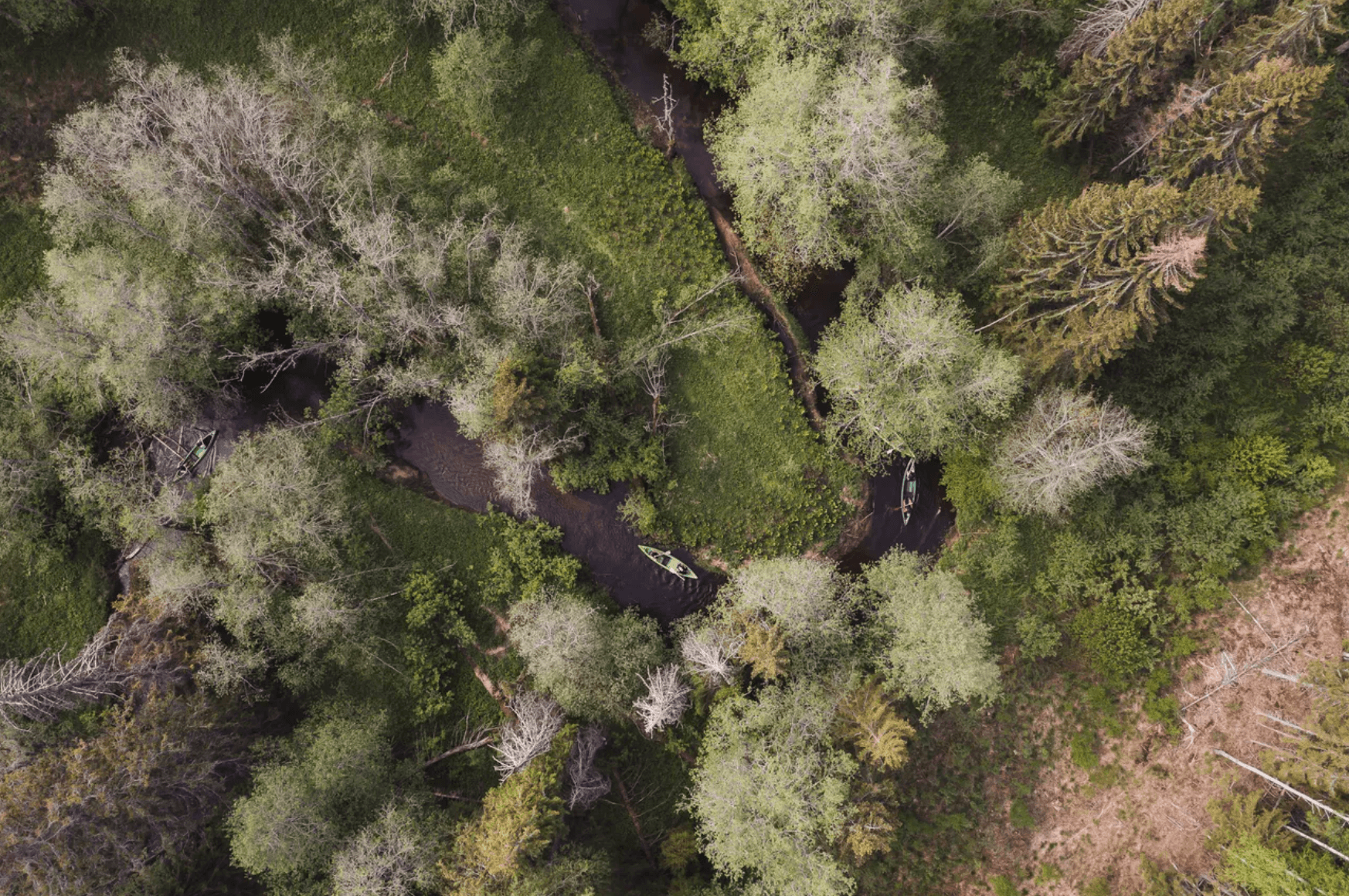 D0a35d527069de7dbbdd9ec4aa8c45ed4ab33fde