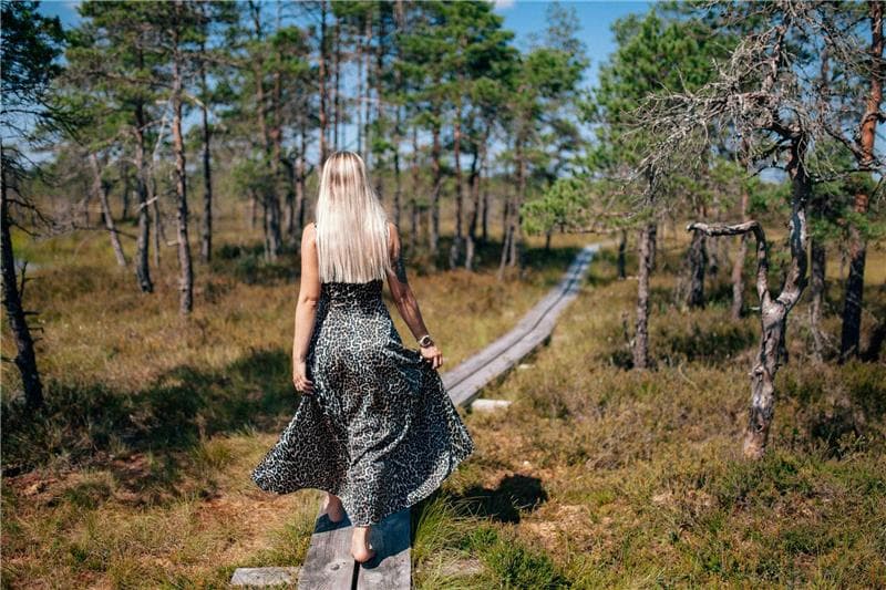 Explore hiking trails