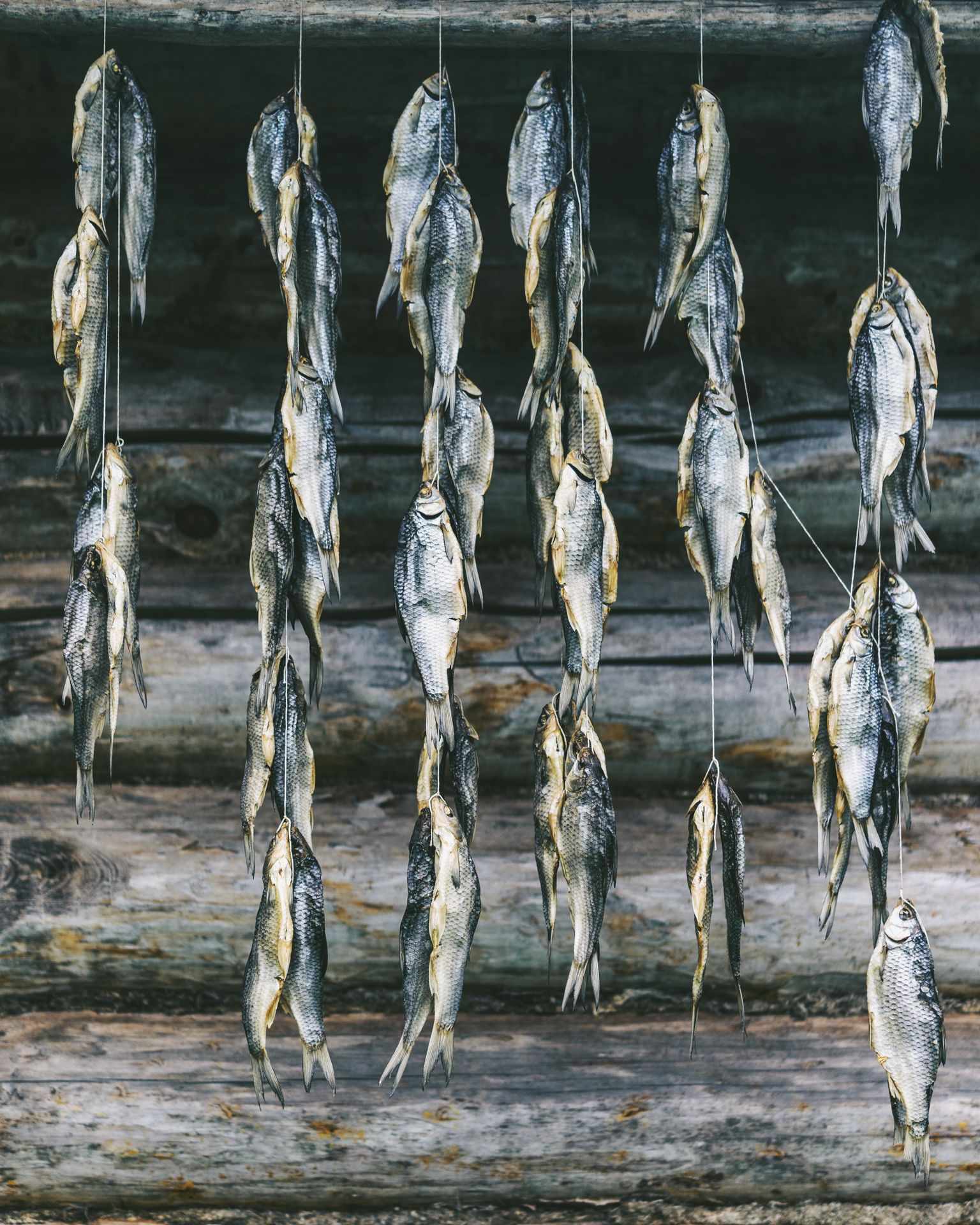 253552 Dried Fish Web Version 1920px