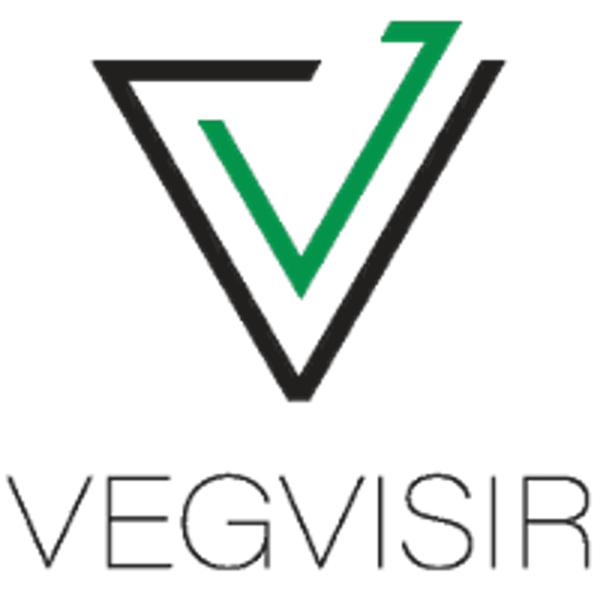 Vegvisir