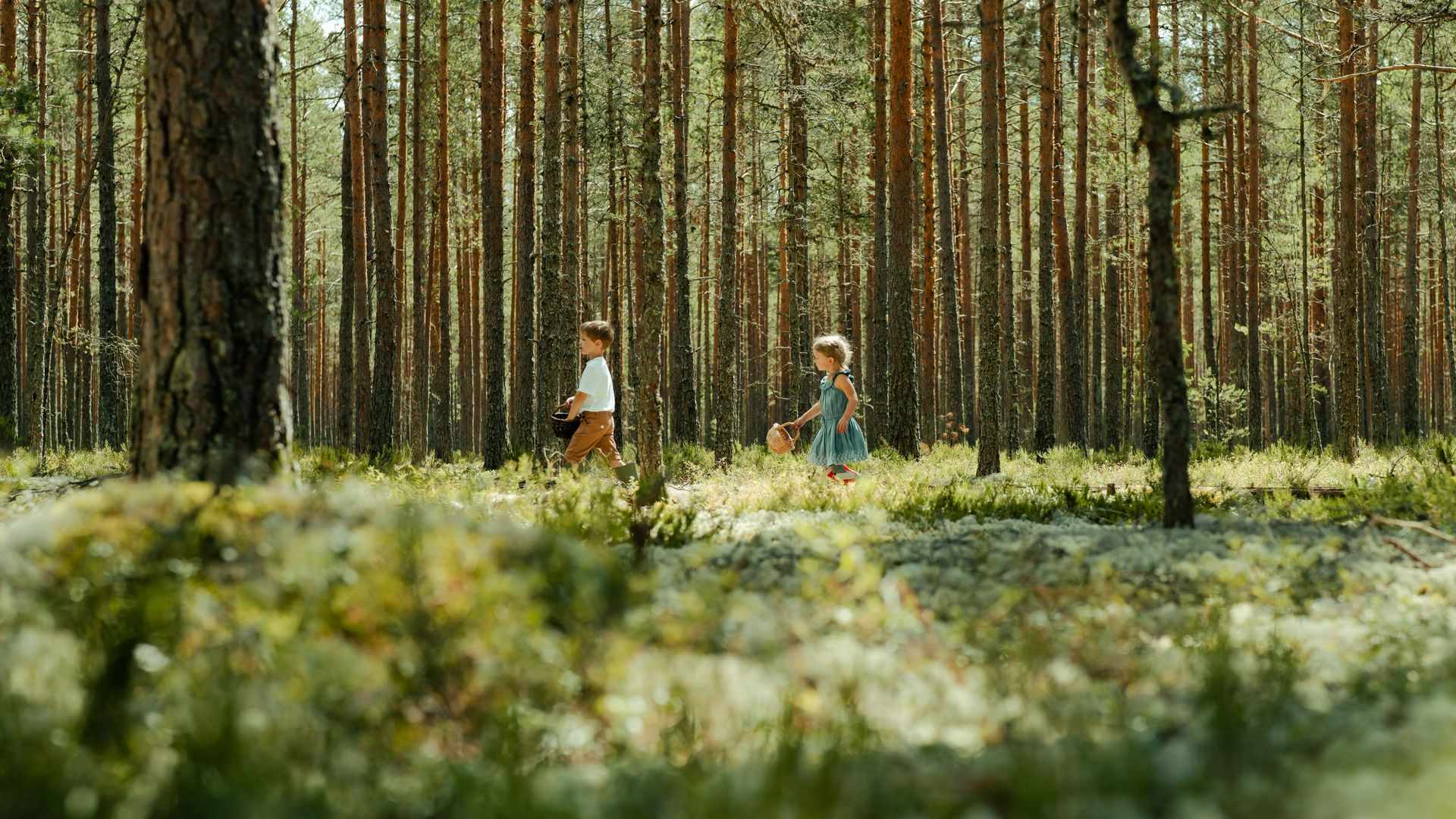 751211 Kids Picking Blueberries Web Version 1920px
