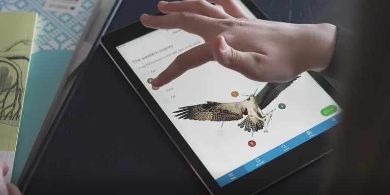 Opiq