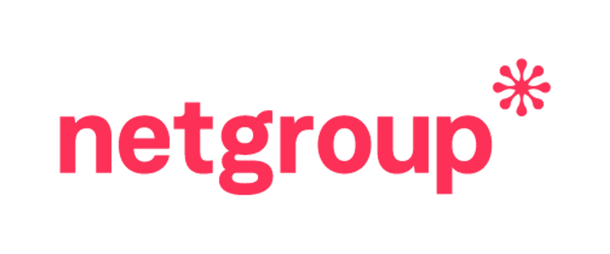 Net Group