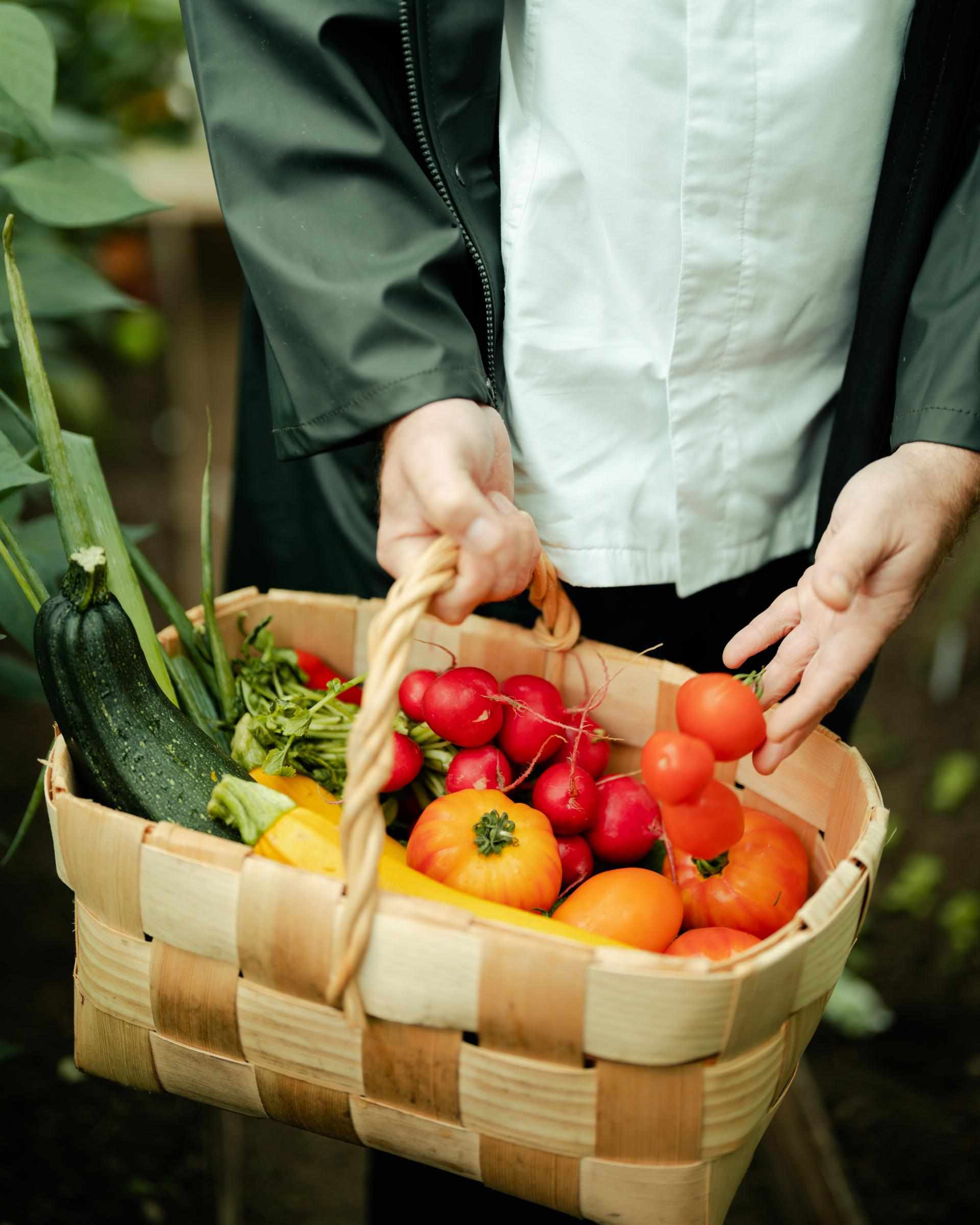 Fresh Vegetables