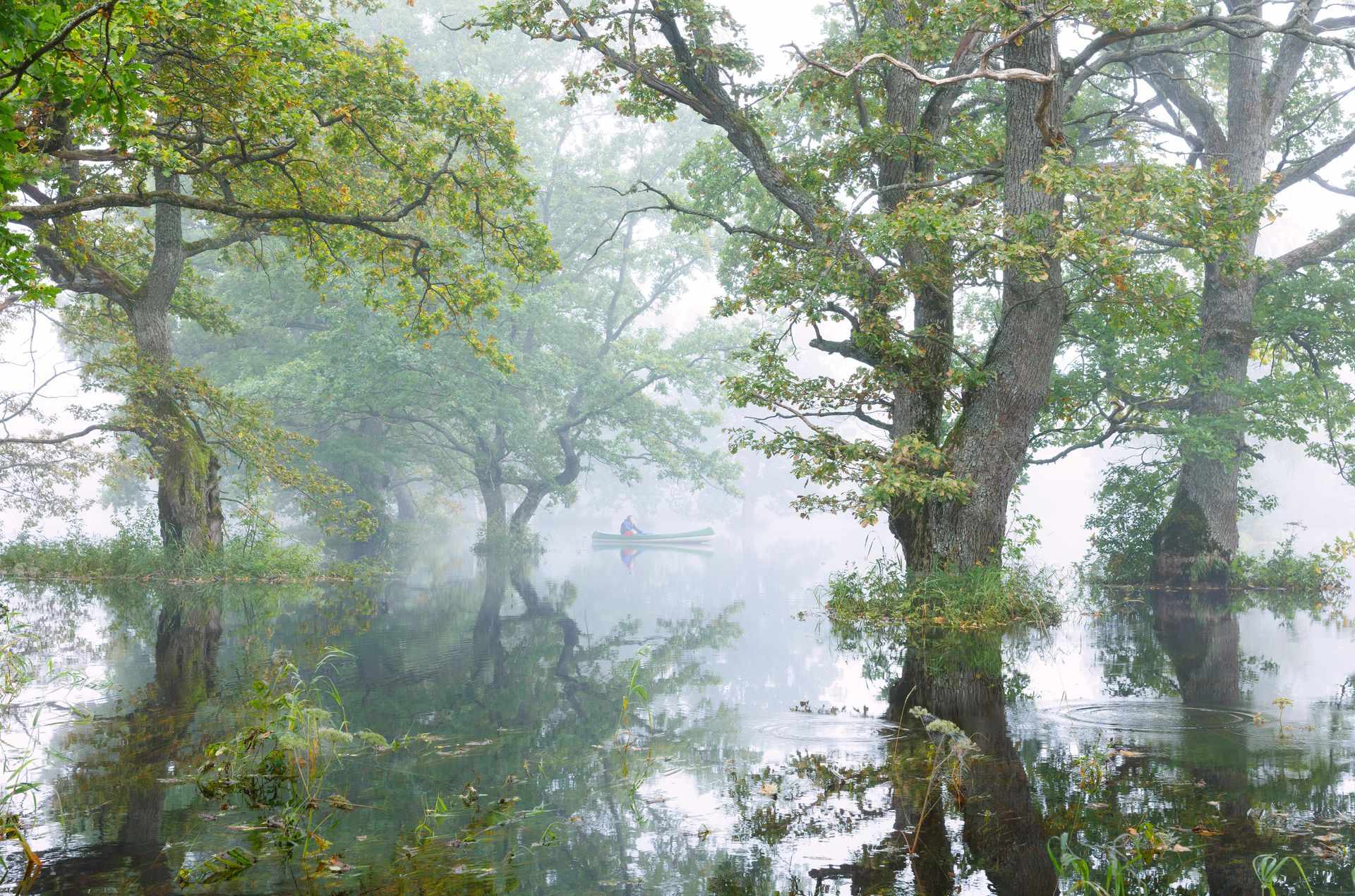 253825 Soomaa Fifth Season Web Version 1920px