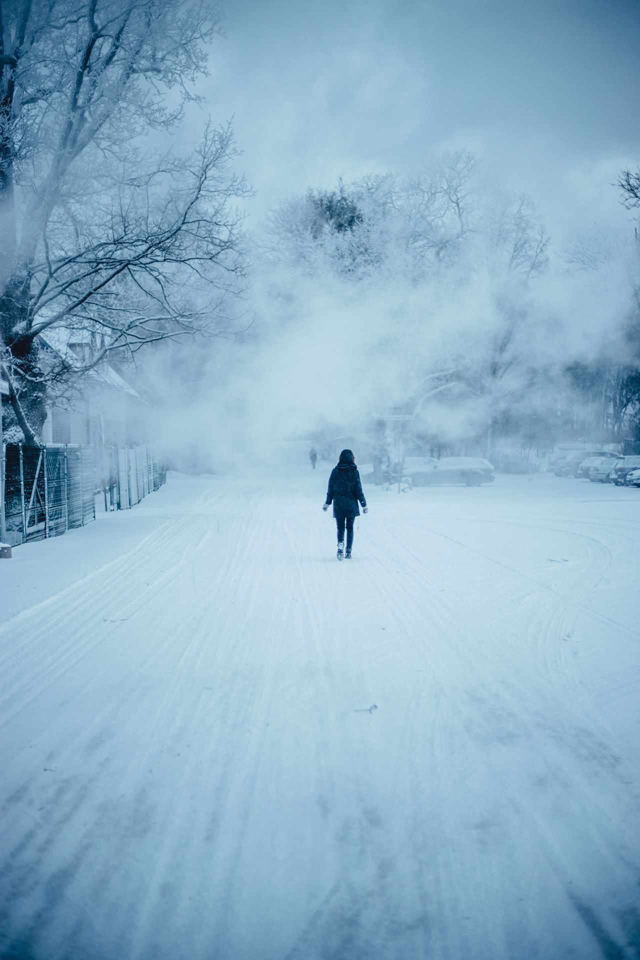 253442 Winter Walk in Snow Web Version 1920px