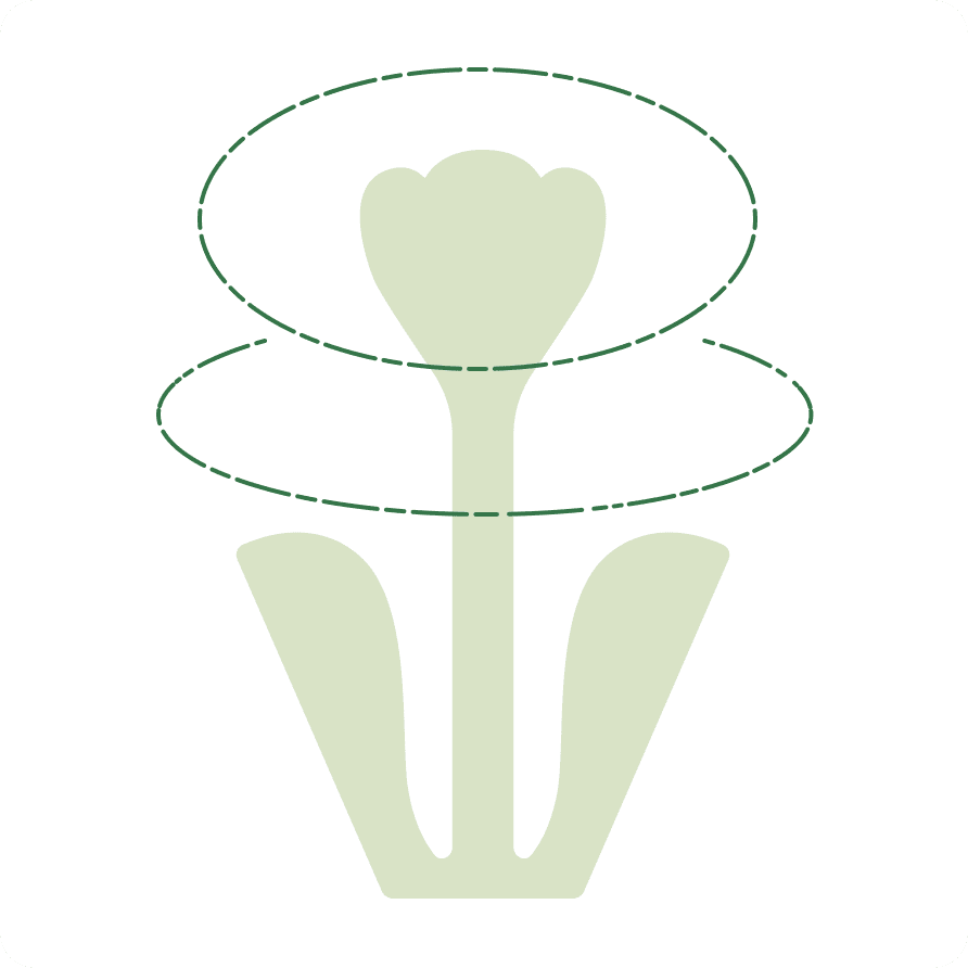 Movement has been added to the flower form through a broken line.