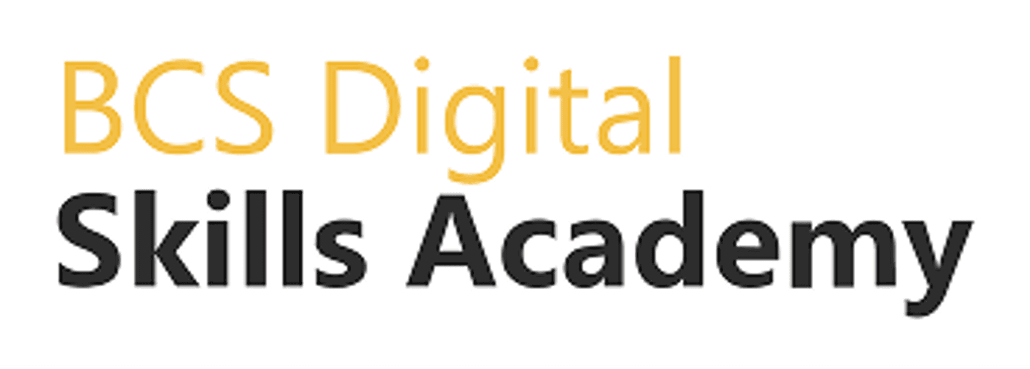 BCS Digital Skills Academy
