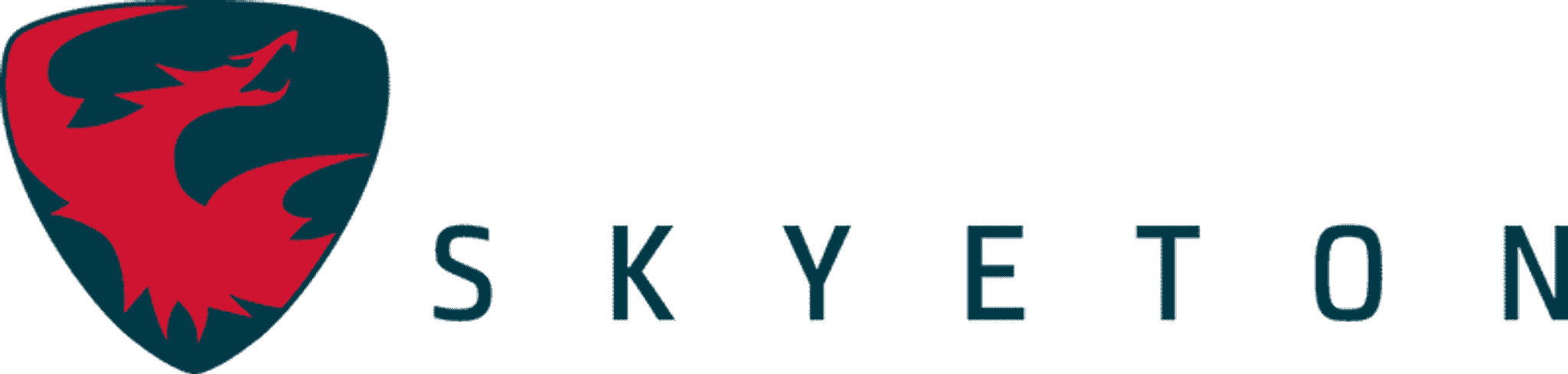 Skyeton