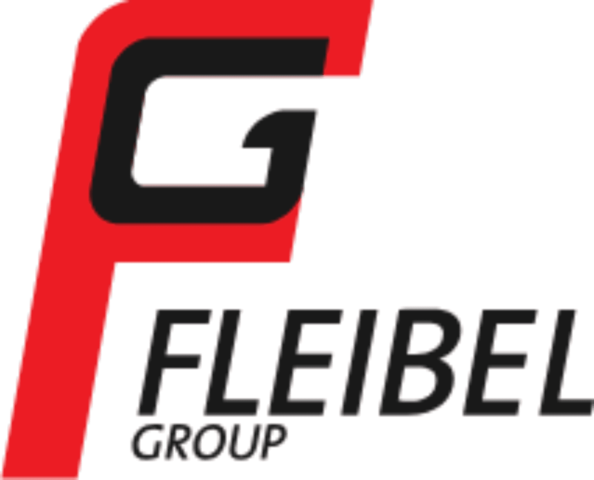 Fleibel Group